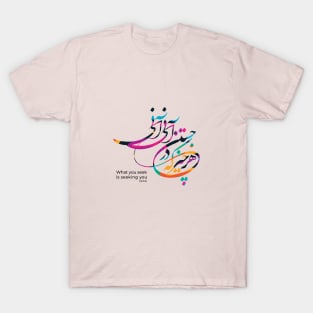 What you seek is seeking you T-Shirt